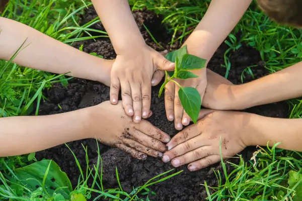 Crianças participando de experimentos no jardim, plantando sementes na terra e aprendendo na prática sobre o ciclo de vida das plantas e os cuidados com a natureza.