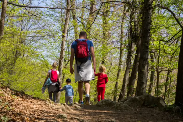 Família aproveitando uma caminhada na floresta, explorando a natureza, respirando ar puro e vivenciando momentos de conexão ao ar livre.