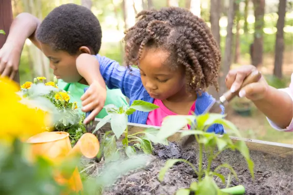 Crianças plantando ervas e flores, criando um jardim sensorial como parte de projetos educativos ao ar livre que estimulam os sentidos.