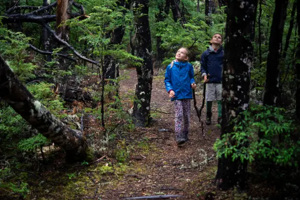 Duas crianças em caminhada pela floresta, parando para observar a natureza com curiosidade, explorando plantas, sons e pequenos detalhes ao seu redor.