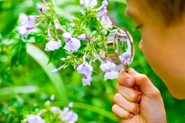 Criança em caminhada na floresta usando uma lupa para observar de perto as flores, explorando a diversidade da natureza com atenção e encantamento.