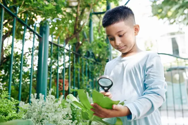 Menino realizando experimentos ao ar livre, usando uma lupa para observar de perto uma folha e investigar sinais da fotossíntese de forma curiosa e investigativa.