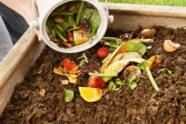 Restos orgânicos como cascas de frutas e legumes em um recipiente de compostagem, mostrando uma ação prática de ecologia em casa.
