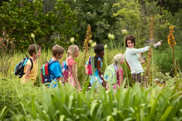 Crianças e uma professora observam e registram elementos da natureza durante uma atividade educativa ao ar livre, explorando plantas, folhas e pequenos animais.