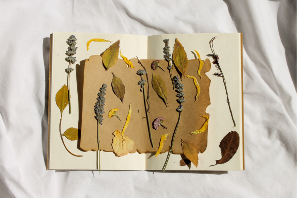 Capa de diário de exploração feita com materiais naturais como folhas, gravetos e flores, destacando a criatividade e o vínculo com a natureza na confecção artesanal do caderno