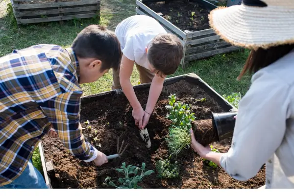 Crianças com as mãos na terra, plantando mudas em uma horta caseira, vivenciando na prática os princípios da ecologia e do cuidado com a natureza.
