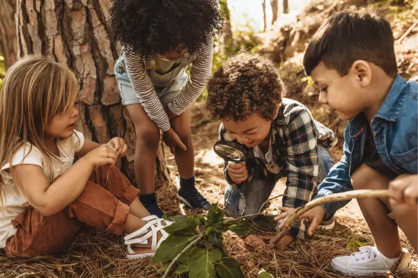 Crianças exploram a floresta observando folhas com lupas, em uma atividade de investigação e aprendizado sobre a natureza.