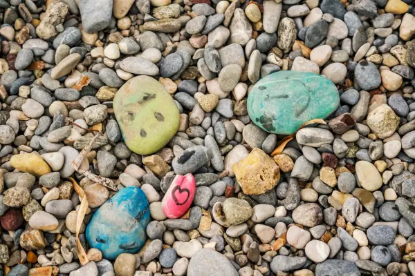 Pedras coloridas pintadas à mão espalhadas pelo jardim, resultado de uma atividade criativa realizada em um estúdio de arte ao ar livre inspirado na natureza.